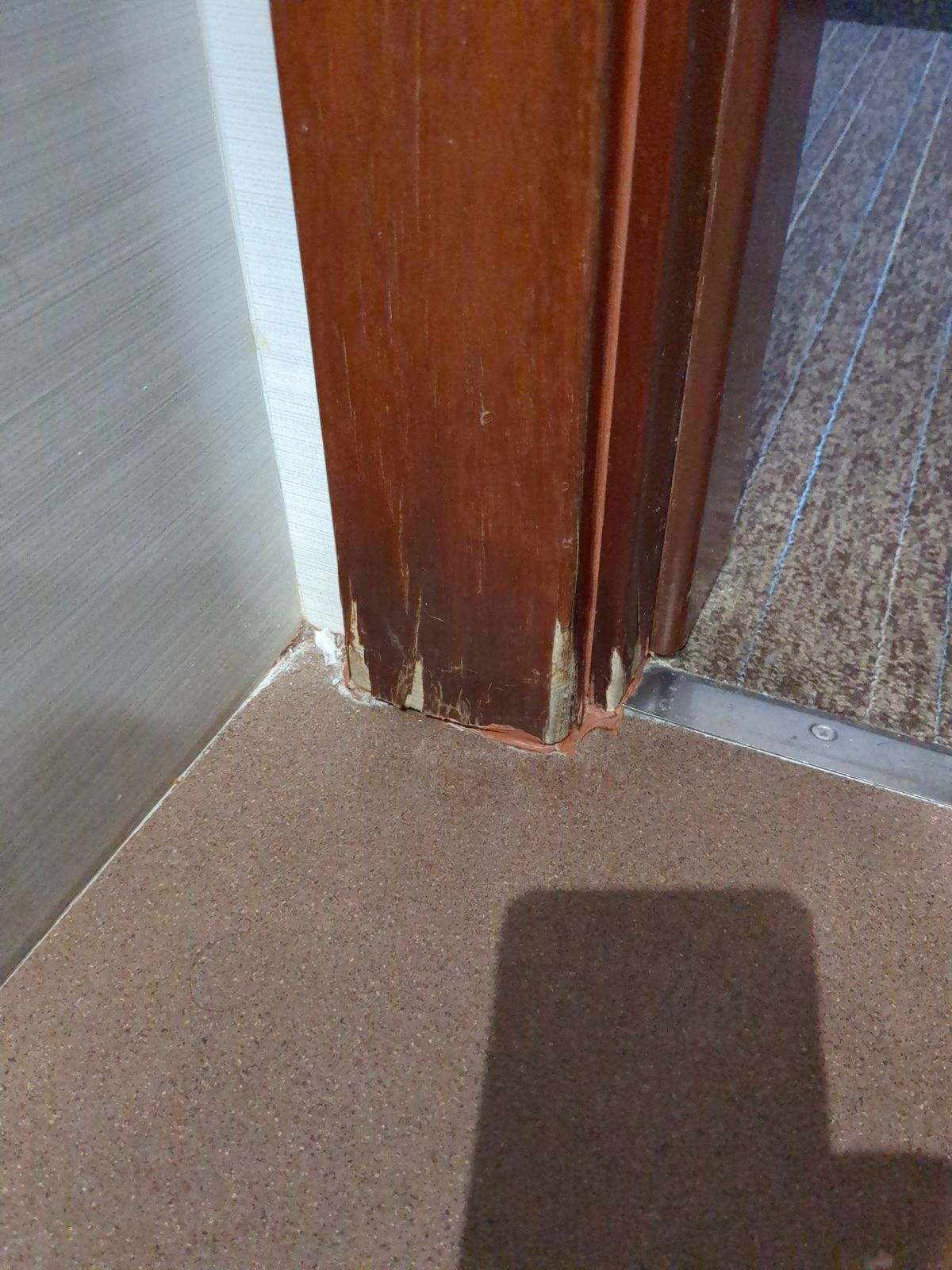 Foto guardada